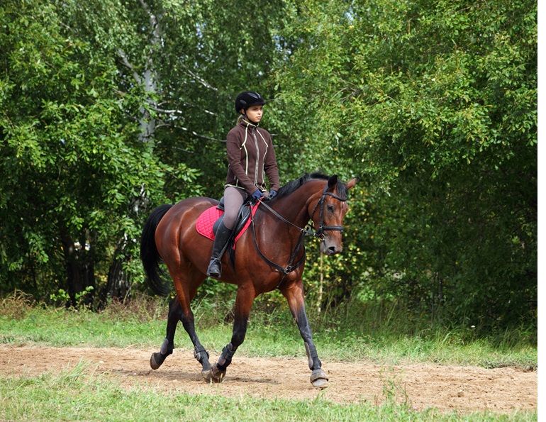 spring conditioning horse, spring horse exercises, prepping your horse for show, exercising horse, jec ballou, equine groundwork, horse, dressage horse exercises, jumper horse exercises, western horse exercises, hunter horse exercises