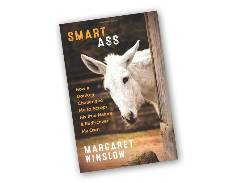 great horse books, smart ass donkey book, horse book reviews, equestrian books