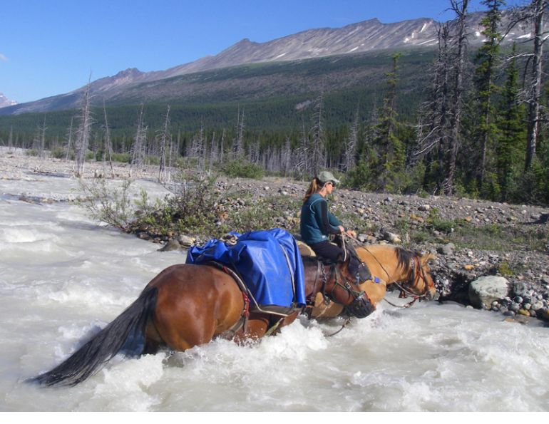 rocky mountain trail rides, mountain trail rides, holiday with horses, holiday horse ride, blue creek outfitting, trail riding, tania millen, Crown Creek, holidays on horseback 