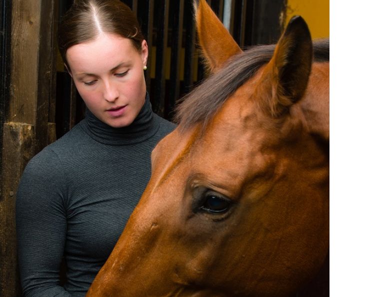 horse nsaids, equine nsaids, equine tranquilizer, equine sedative, horse tranquilizer, horse sedative, equine deworming, horse deworming