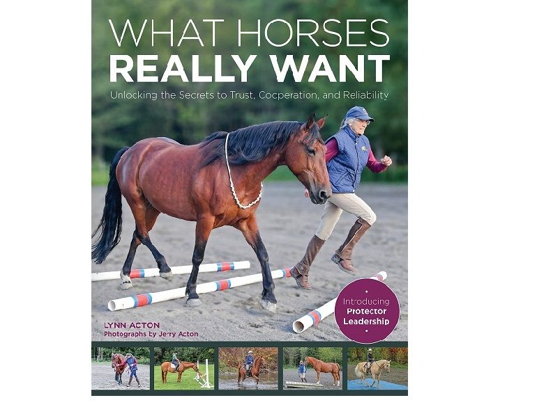 book review what horses really want, lynn acton horse book, horse psychology, how to understand my horse