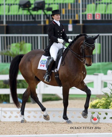Belinda Trussell Dressage Rio Equestrian Canada Olympic Rio de Janeiro