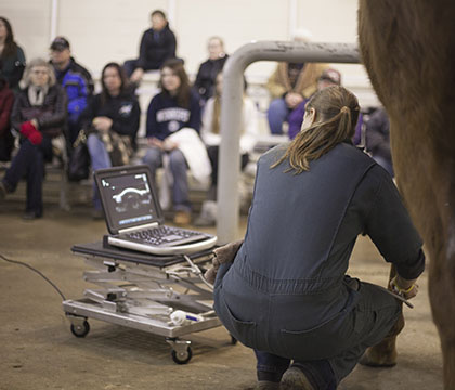 Jeanette Neufeld, Western College Veterinary Medicine, WCVM, equine care, WCVM live horse demonstrations, WCVM Equine Club, horse care
